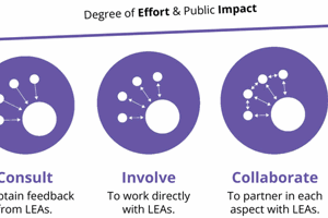 Lived Experience Engagement
