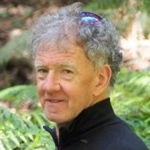 Greg Hammond